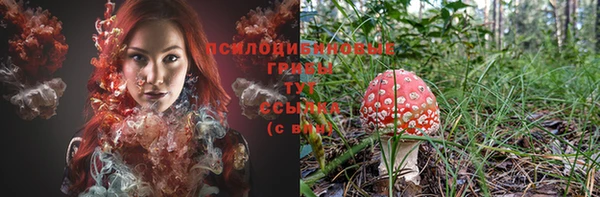 мет Абинск