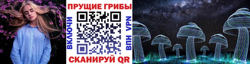 Псилоцибиновые грибы Cubensis Циолковский